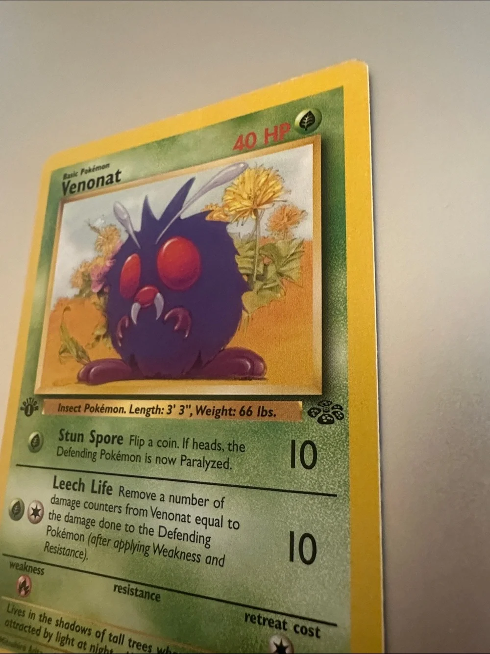 Venonat Pokémon 1st Edition Trading Card
